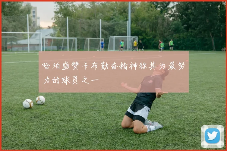 哈珀盛赞卡布勤奋精神称其为最努力的球员之一